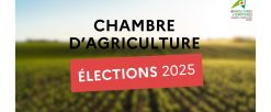 Election des membres de la chambre interdépartementale d’agriculture NPDC 2025