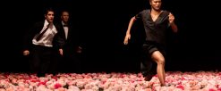 « Nelken » par Pina Bausch